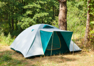 Telt i skov med fri teltning