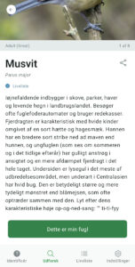 Merlin Bird ID app har beskrivelser af de enkelte fugle