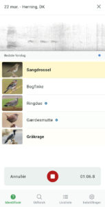 Merlin Bird ID app giver en liste over fugle som den genkender