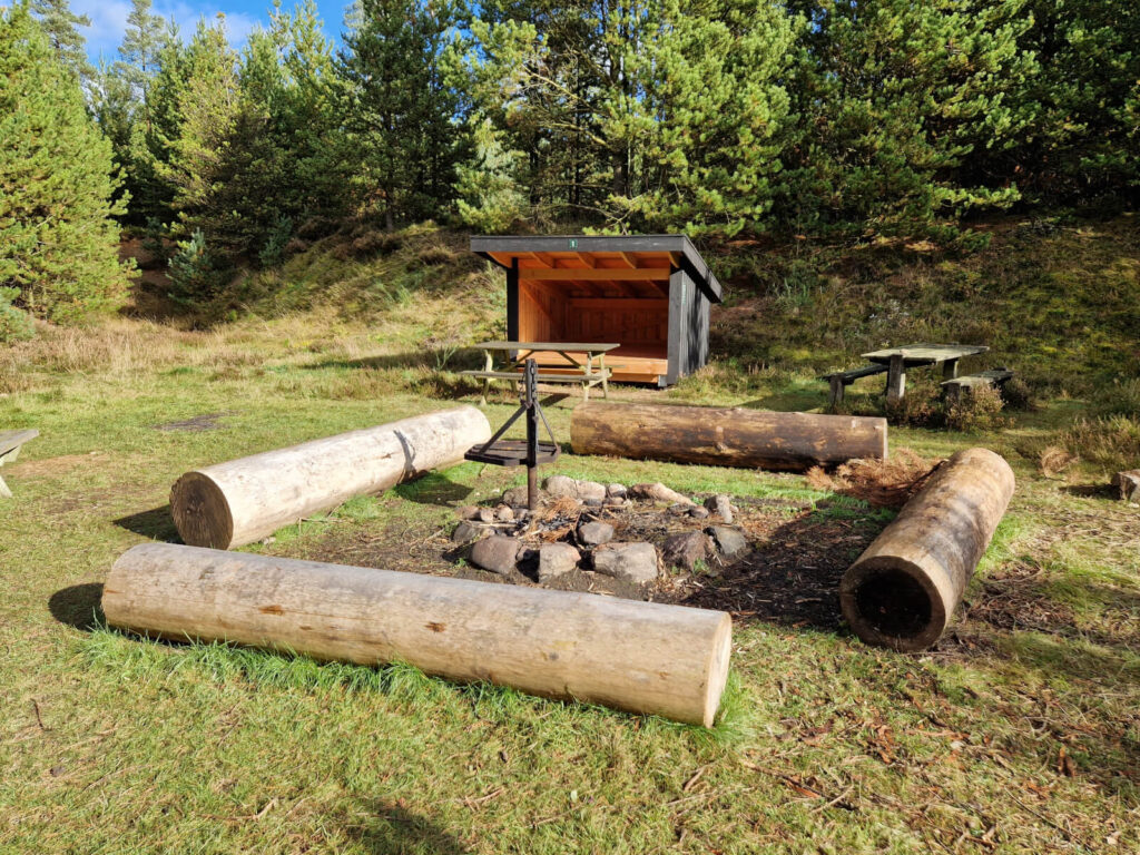 Nørlund Plantage shelterplads bålplads med grillstativ