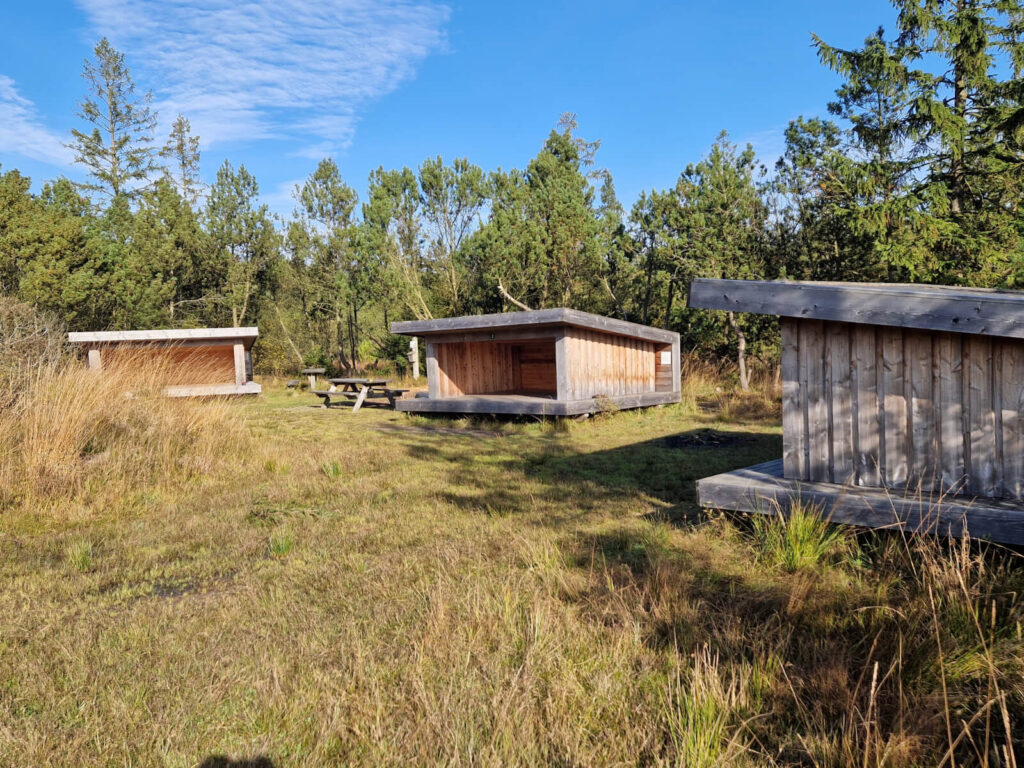 Shelterplads ved Trotylsøen i Gludsted Plantage