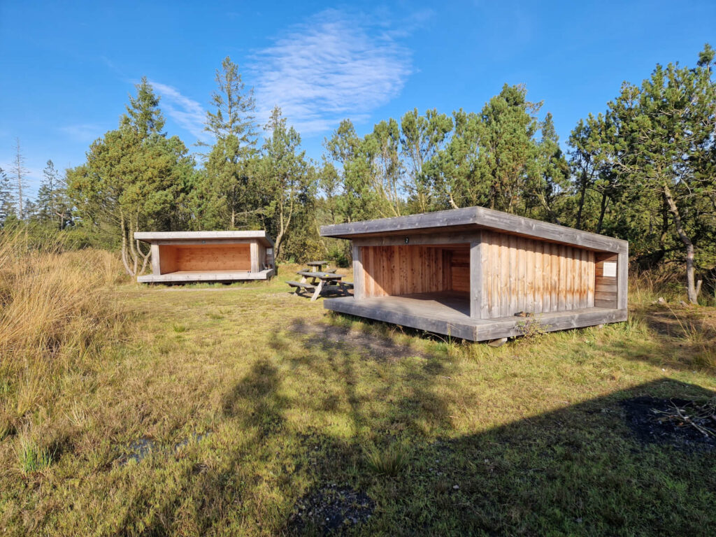 Shelterplads ved Trotylsøen i Gludsted Plantage