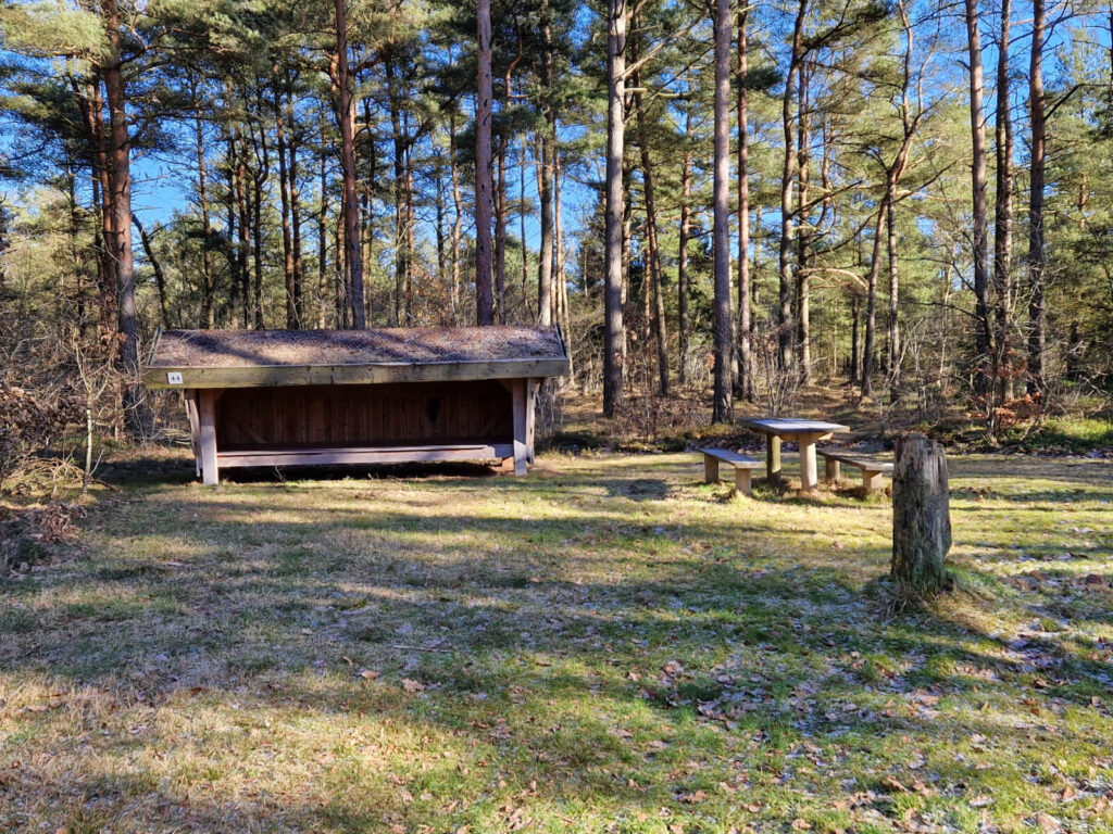 Sunds Shelterplads i Sunds Plantage ved Herning