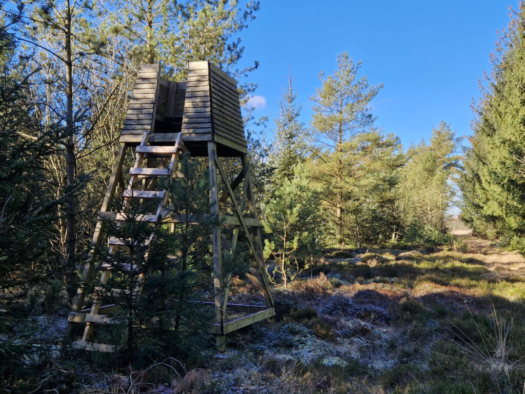 Lille udkigstårn i Sunds Plantage