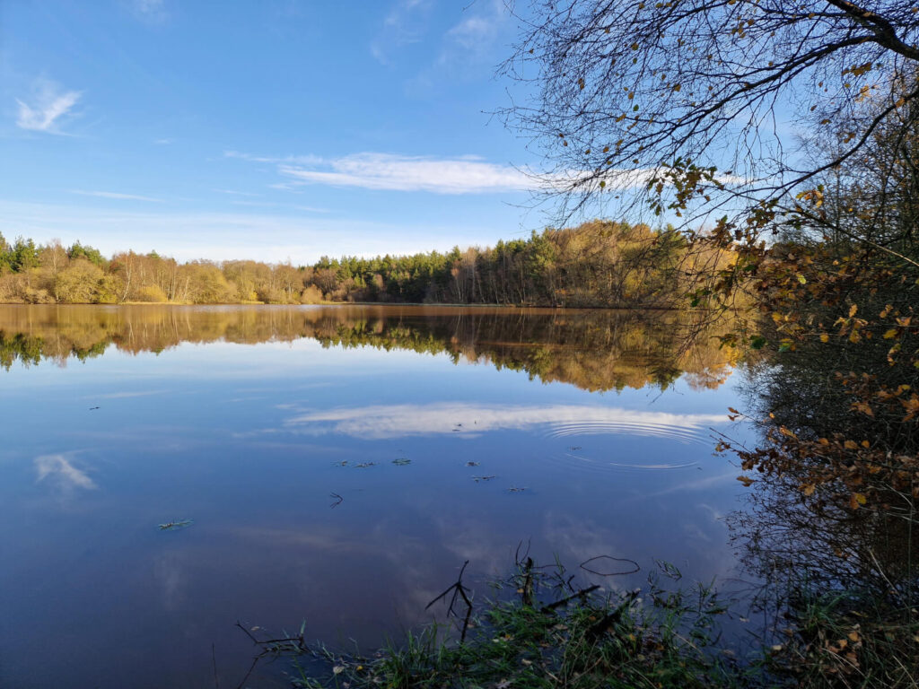 Udsigt over Svanholm Sø