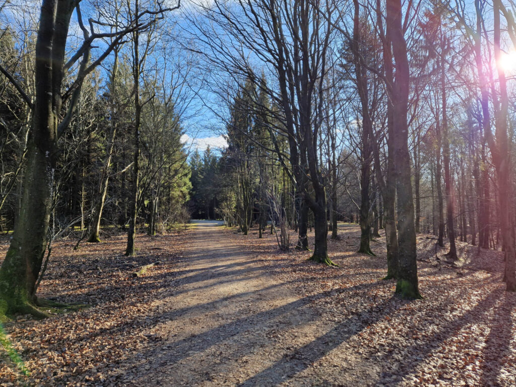 Sundhedsspor og vandreruter ved Tinkerdal Besøgssted