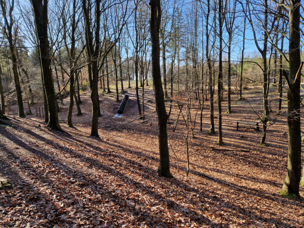 Skovlegeplads i skoven ved Tinkerdal Besøgssted