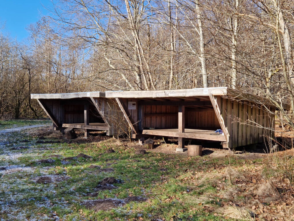 Shelterpladsen i Sunds Troldeskov har 2 shelters