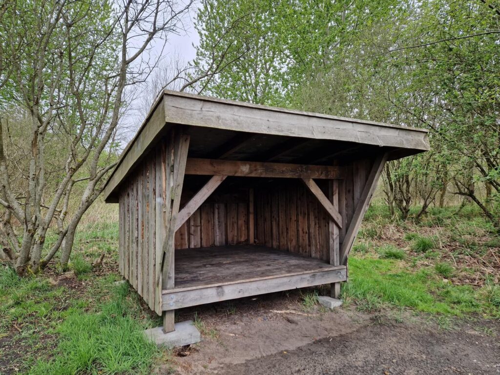 Shelter 2 ved Holtbjerg Sø shelterplads
