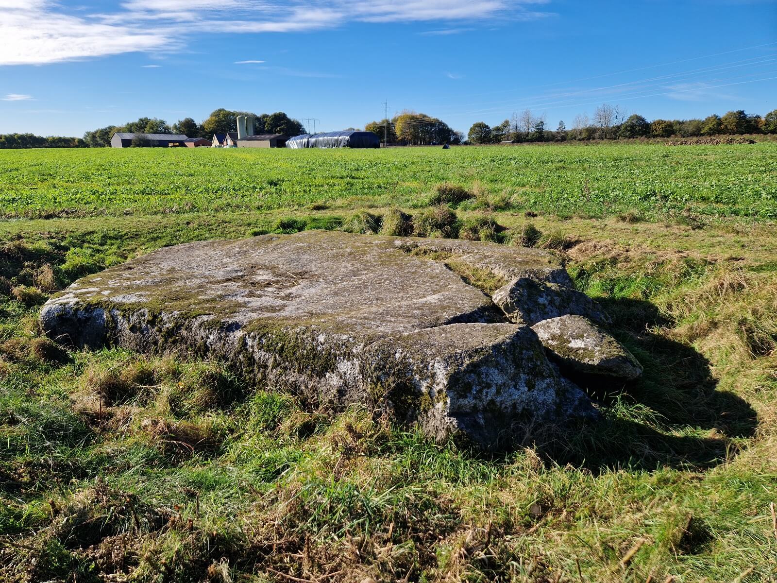 Danmarks næststørste kæmpesten - Mørupstenen ved Herning