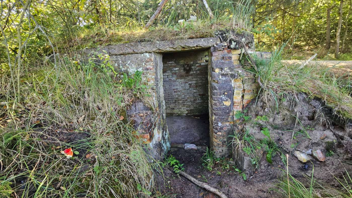 Bunkershelter ved Troldsting shelterplads