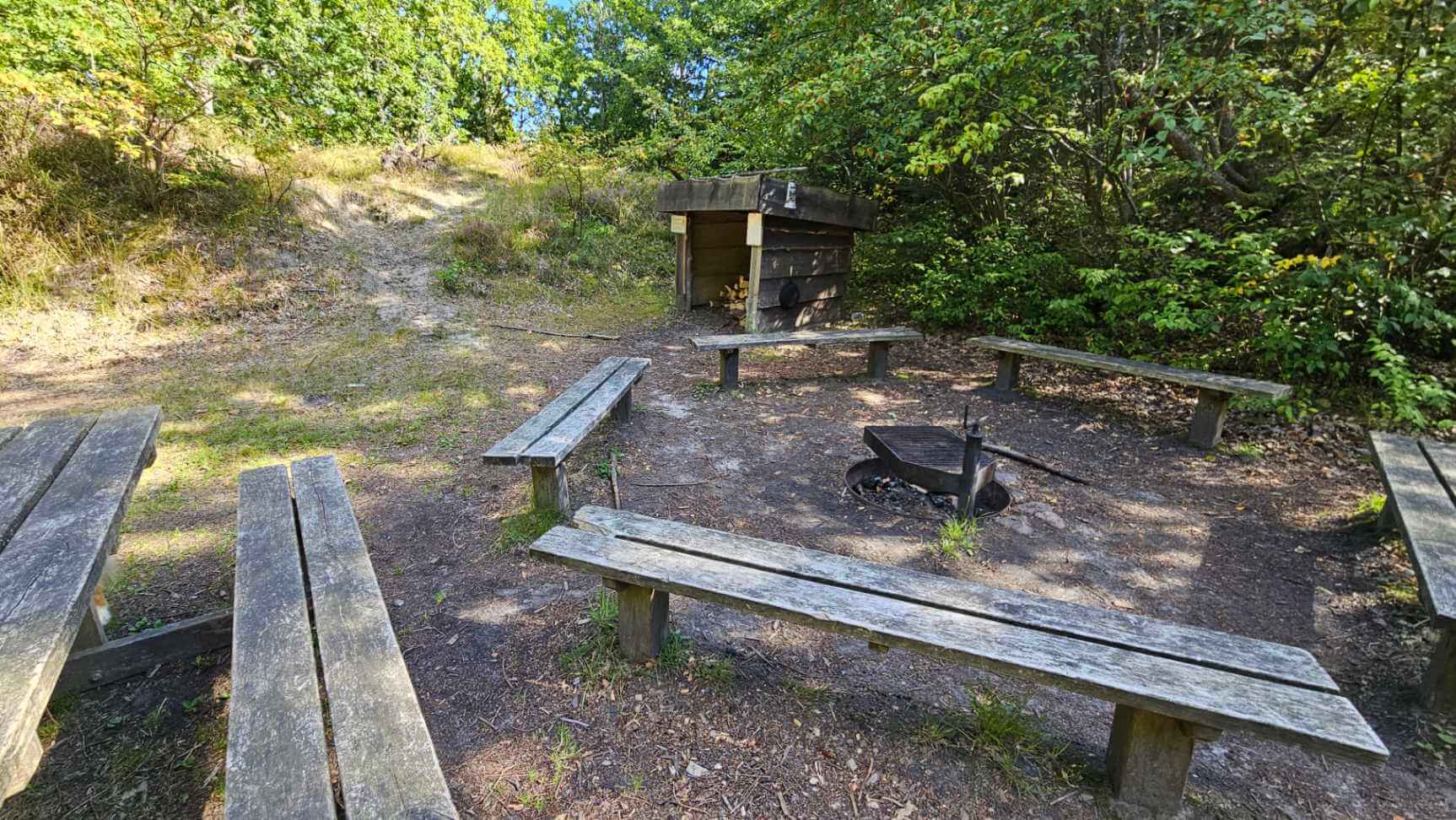 Troldsting shelterplads i Vester Thorup Plantage