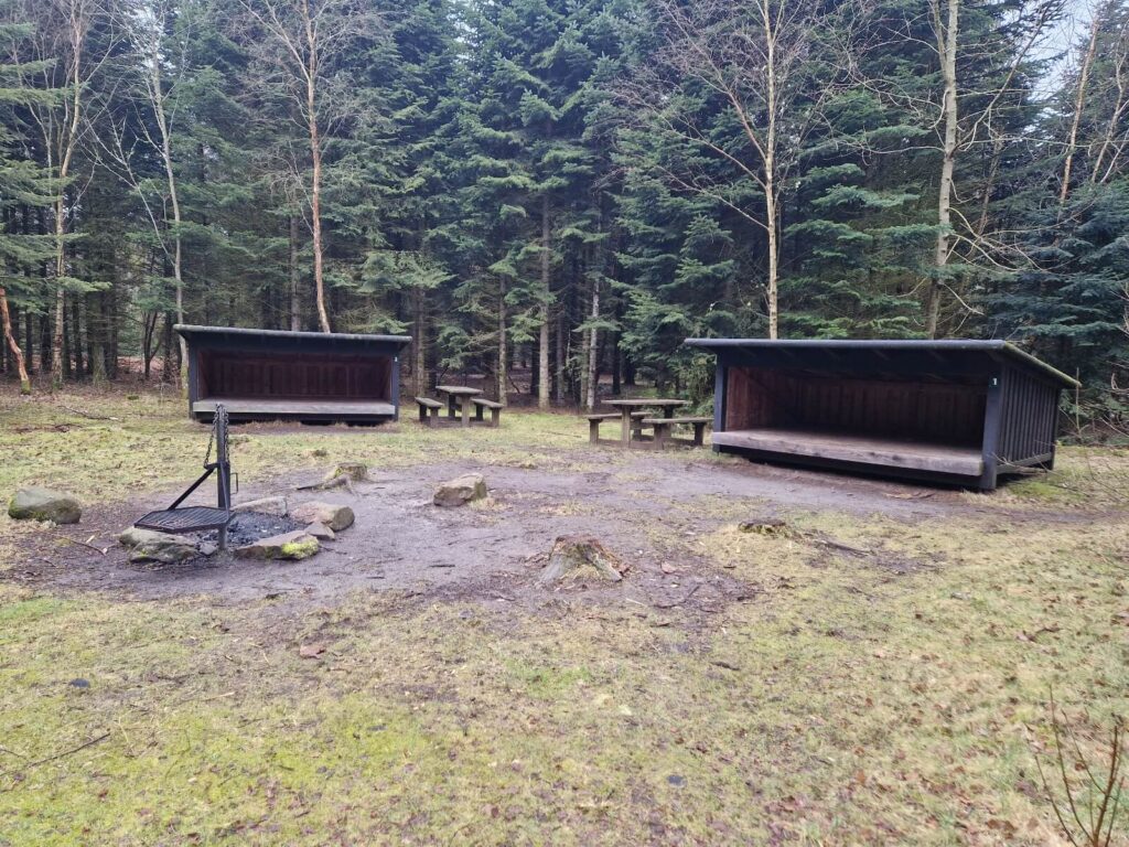 Sheltere ved Husby Shelterplads i Husby Klitplantage