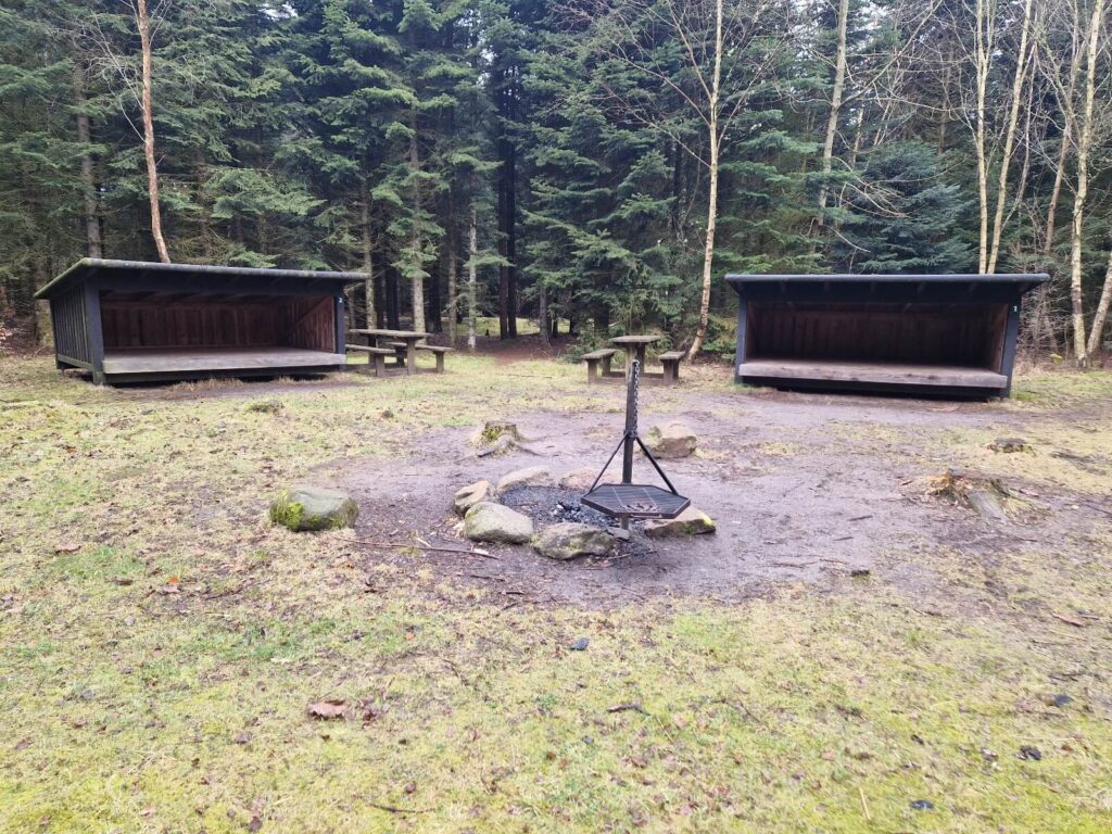 Sheltere ved Husby Shelterplads i Husby Klitplantage