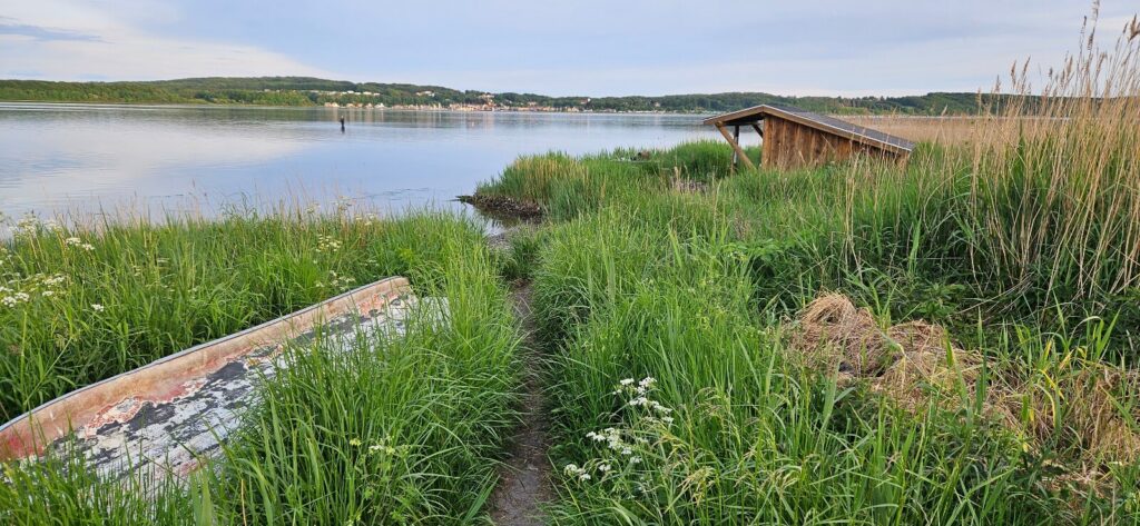 Shelter ved Mariager Fjord