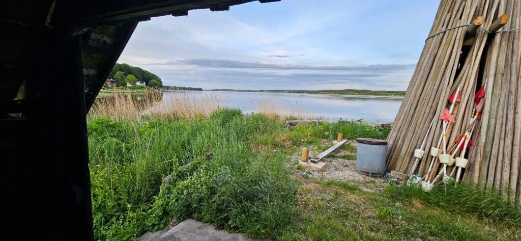 Smuk udsigt fra shelter ved Mariager Fjord